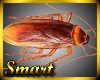 SM Fast Cockroach
