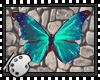 (*A) Butterflies II