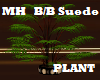 Black/Brown Suede Plant