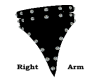 Black Diamond Armband R