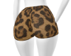 Hb. Cheetah