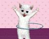 Cat with hula hoop- anim