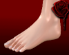 K | HD Realistic Feet