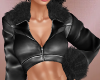 Black Jacket F