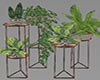 Plant Stand Set