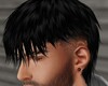 BLACK MULLET