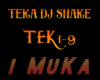 TEKA DJ SNAKE