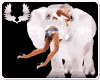 WHITE ELEPHANT