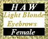 Light Blond Eyebrows - F