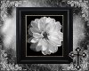 BnW Framed Floral 1