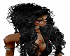 *wc* black  kiss  2374