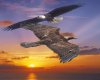 sunset eagles