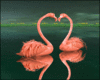 SpriNg Love Flamingos