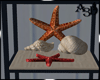 Set Starfish And Shell