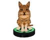 Rajie Cat on Roomba