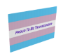 Transgender Flag 1
