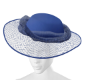 Summer Hat Blue