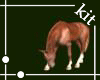 [kit]Animated Horse 1