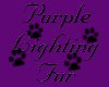~K~Purple Lighting Ears