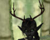 Antlers, Druidic
