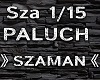 PALUCH > SZAMAN
