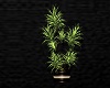 lighted potted plant 2