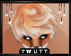 T; Foxie hair v3