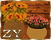 ZY: Fall flower plants