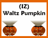 (IZ) Waltz Pumpkin