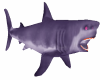 Purple Shark Lights