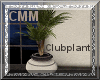CMM-H.S. Clubplant1