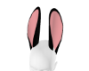 Bunny Blk Ears