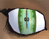 Reptile eyes