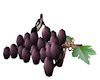 Giant Grapes with Poses