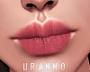 U. Under Lip IV