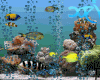Aquarium Wall animated