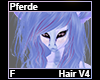Pferde Hair F V4