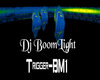 D3~DJ BOOM LIGHT
