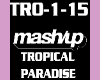 MashupTropical Paradise