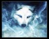 White wolf