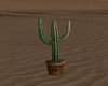 cactus annimé
