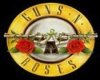 Guns n Roses tee