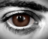 *D* Dark Brown M