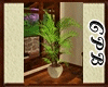  {CPB} Tall Plant