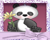 Flower Panda 1