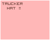 *S* Cashmere Trucker Hat