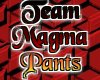 Team Magma Pants