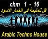 Arab Techno House