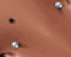 Silver Ball Nose Earings