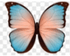 Pastel butterfly vs1